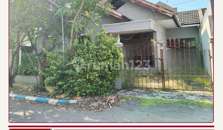 DISEWAKAN CEPAT RUMAH PALEM SELATAN 1 BUTUH UANG RUMAH BAGUS   1