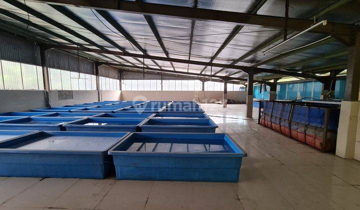 Pabrik 3000m Daerah Cikamuning Padalarang Bandung 39