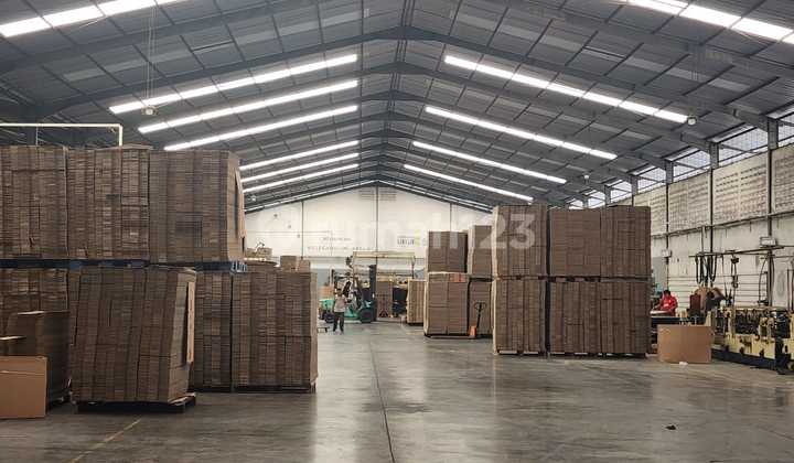 Super Spacious Ready-to-Use Warehouse Facing Northeast in Cikarang, Bekasi