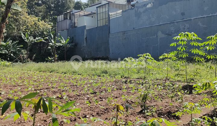 Kavling Luas Besar 1073 Meter di Sayap Geger Kalong Bandung