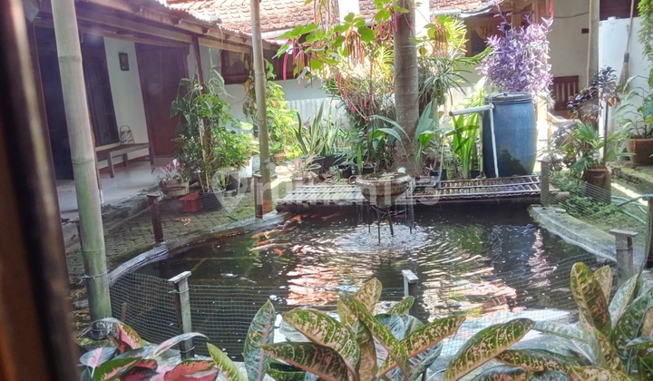 Rumah & Tanah Pusat Kota Subang Strategis Cocok untuk Usaha Rumah & Tanah Pusat Kota Subang Strategis Cocok untuk Usaha