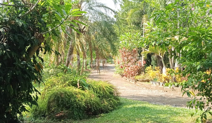 Rumah & Tanah Pusat Kota Subang Strategis Cocok untuk Usaha 2