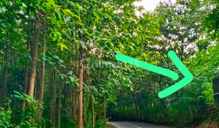 Jual Tanah Kebun Sawah Pinggir Jalan Luas 7.5 Ha di Daerah Purwakarta 3