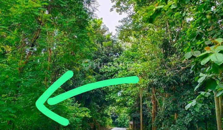 Jual Tanah Kebun Sawah Pinggir Jalan Luas 7.5 Ha di Daerah Purwakarta 4