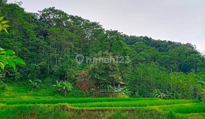 Jual Tanah Kebun Sawah Pinggir Jalan Luas 7.5 Ha di Daerah Purwakarta 6