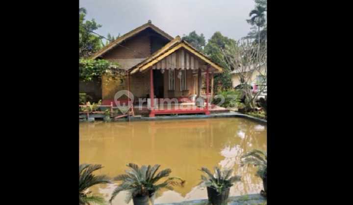 Jual Villa Produktif Di Wanayasa Purwakarta Lokasi Strategis Pinggir Jalan 4