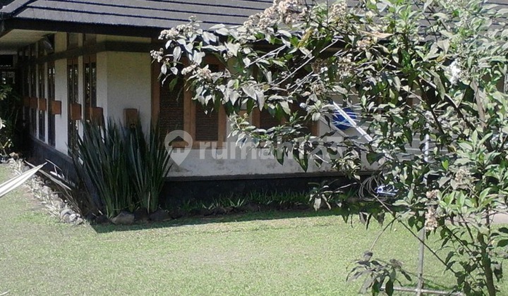 Rumah Trinity Bisa Jadi Villa Backyard Ada Tebing Bagus 2