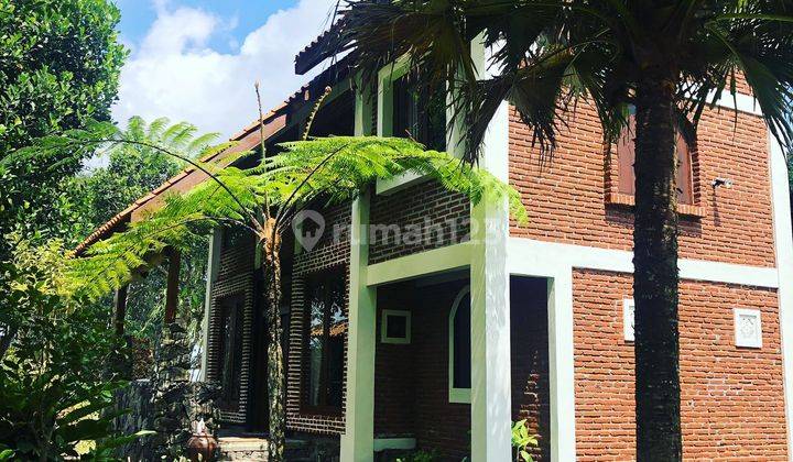 Villa di Jual Cepat LT 3.006m di Jl Kaliurang Sleman 1