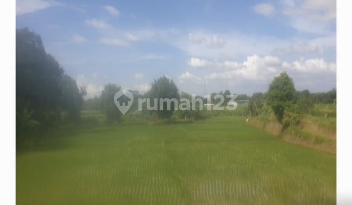 Jual Tanah 20 Ha di Jln Rancaiyuh, Kec. Panongan