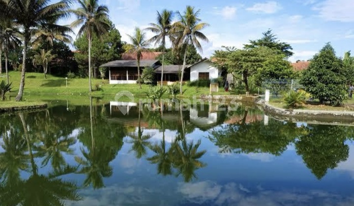 Jual Hotel Di Jln. Raya Puncak Bogor Cisarua Jual Hotel Di Jln. Raya Puncak Bogor Cisarua