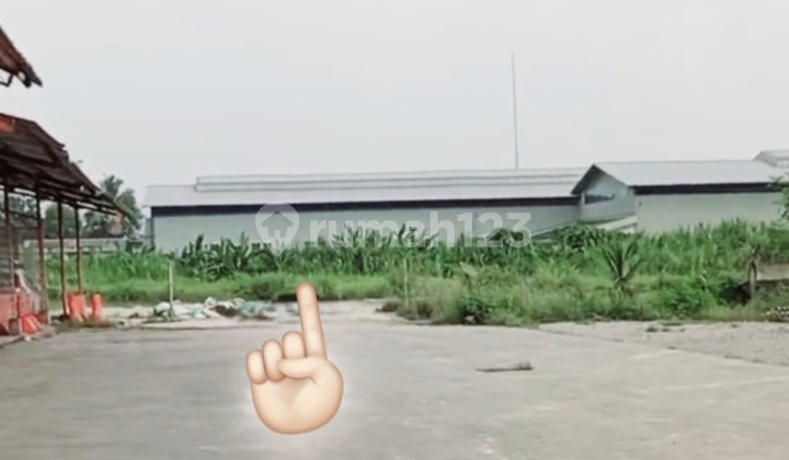 Disewakan Tanah Luas 5.000m2 Dekat Pintu Toll Balaraja