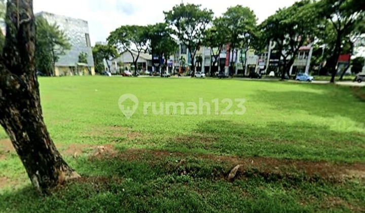 Dijual Tanah Kavling 5.000 M2 Di Daerah Komersil Alam Sutera Dijual Tanah Kavling 5.000 M2 Di Daerah Komersil Alam Sutera