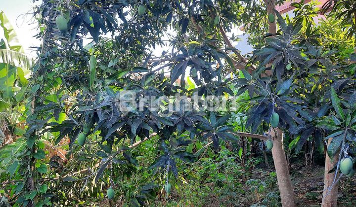 TANAH DI CARGO INDAH DENPASAR