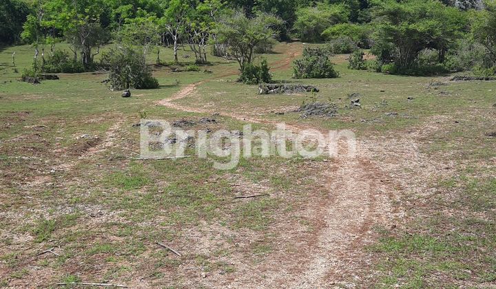 TANAH  DI GAYANG SARI MUMBUL