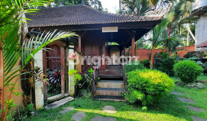 UNIQUE VILLA IN UBUD