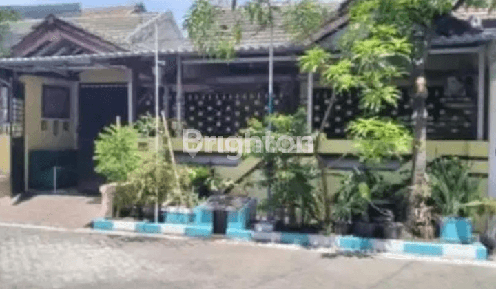 RUMAH REWWIN JL GARUDA BEBAS BANJIR DEKAT JUANDA 1