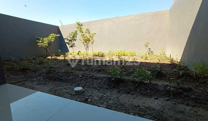 DISEWA RUMAH MINIMALIS JUMBO DIKELASNYA DAERAH SEDATI-TROPODO