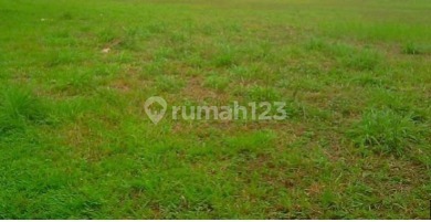 Commercial land for rent in Palma Hill