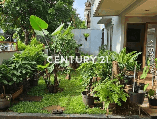 Rumah Hommy Dengan  Lingkungan Yang Asri  Dan Aman   1