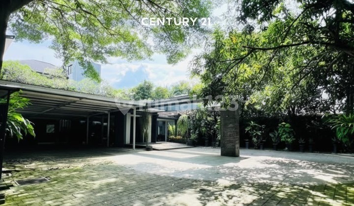 Rumah Asri dengan Tanah Luas di Bintaro Jaya Sektor 5