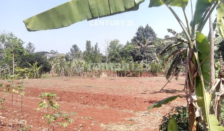 Dijual Murah Kavling Padat Cocok untuk Cluster di Bintaro Parigi