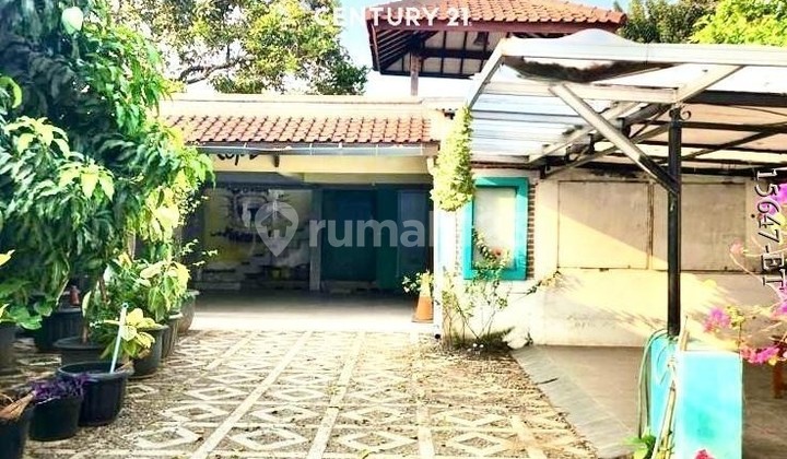 For Sale: Well-Maintained Single-Story House with Spacious Land 2