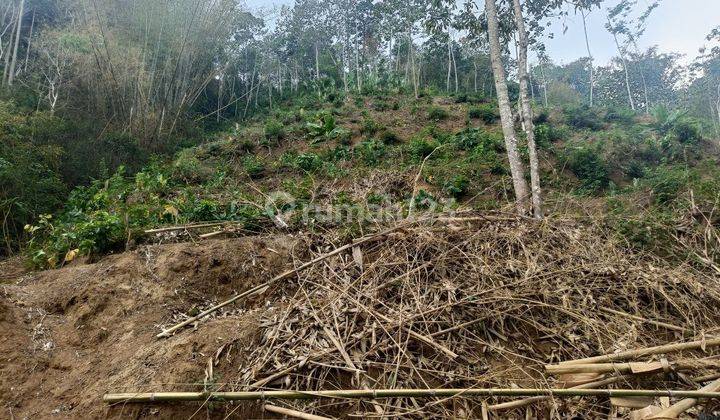 Dijual Cepat Kebun Durian Kopi Murah Malang Tajinan 1