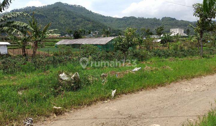 Dijual Cepat Murah Tanah di Metro Sisir Kota Batu Malang 4