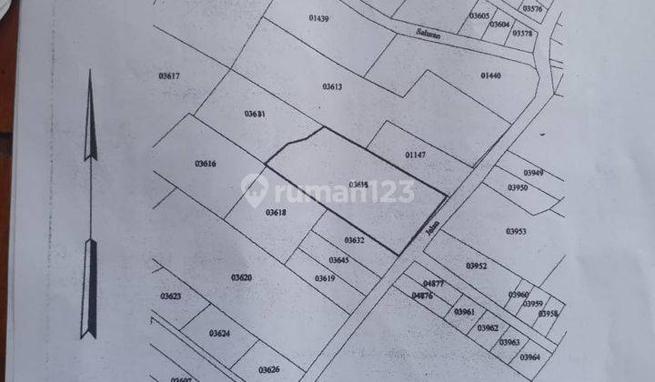 Dijual Tanah Sawah Pertanian Poros Jalan di Karangploso Malang 2