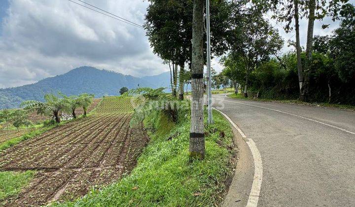 Tanah Pertanian Area Cafe Nol Jalan Pacet Batu 2