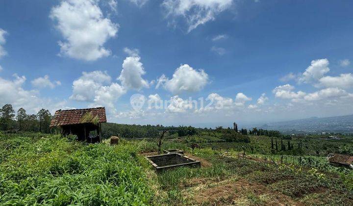 Tanah di Atas Puncak Bukit Sumbergondo Batu.  2