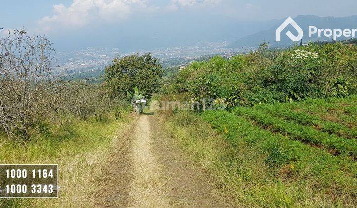 Tanah Kebun Harga Murah View Istimewa Batu 1