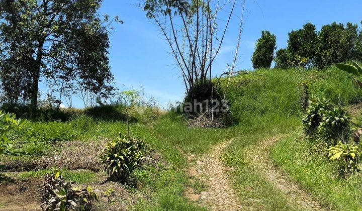 Kebun Pertanian Sayur Bunga Kota Batu Lokasi Strategis 1