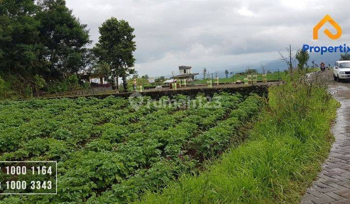 Lahan Pertanian Produktif SHM Omset Ratusan Juta Per 3 Bulan  2