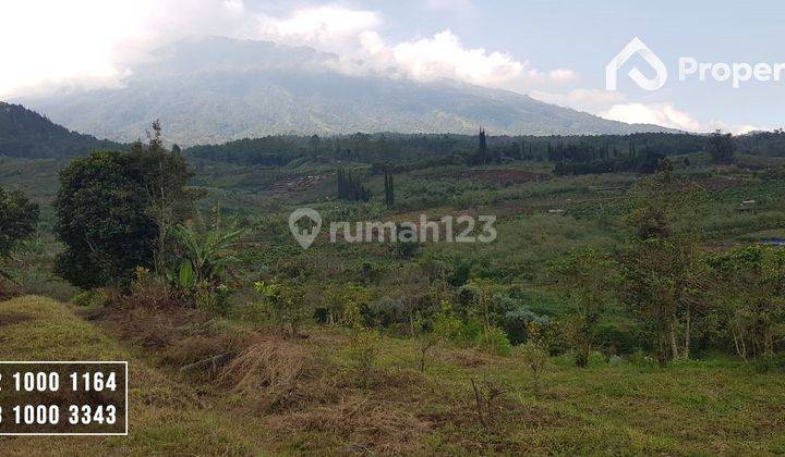 Investasi Tanah Perkebunan di Batu Malang 2