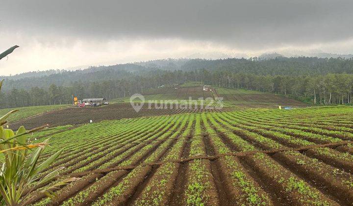 Tanah Perkebunan Dan Sayur Mayur Murah Kota Batu  1