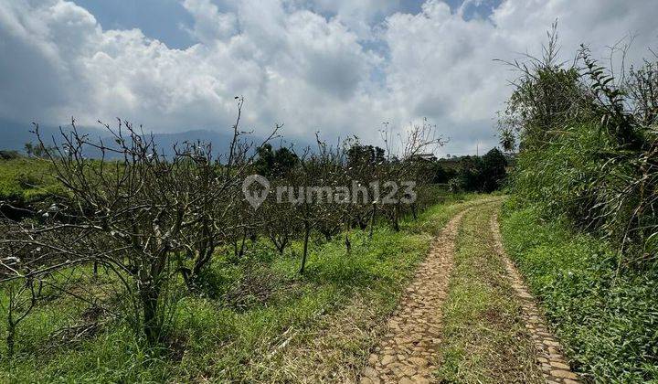 Tanah di Sumber Brantas, Batu SHM 5.400 m² Lokasi Strategis 2