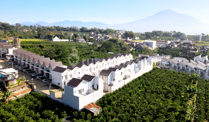 Rumah Cantik Bisa Inhouse 4 Tahun Di Merjosari Malang Batu 4