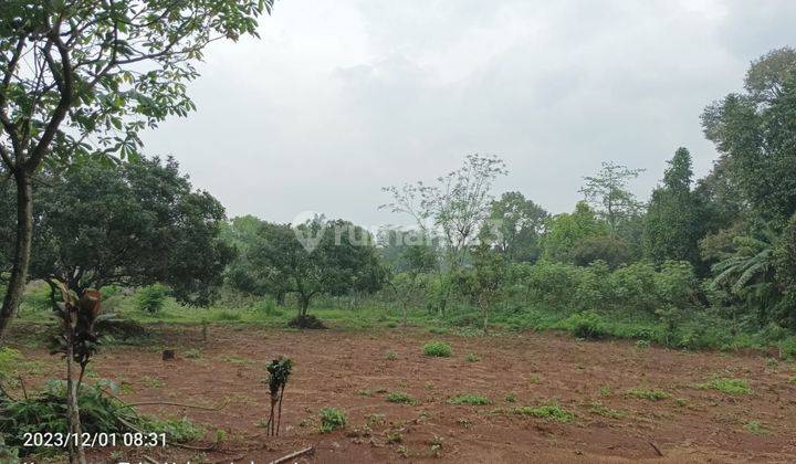 TANAH DI LOKASI STRATEGIS DEKAT PESANTREN DAN MESJID 2