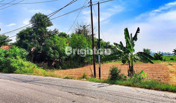 INVESTASI TANAH YANG MENGUNTUNGKAN  LUAS 2478 METER  LOKASI PINGGIR JALAN RAYA DEKAT PASAR BABELAN BEKASI UTARA 2