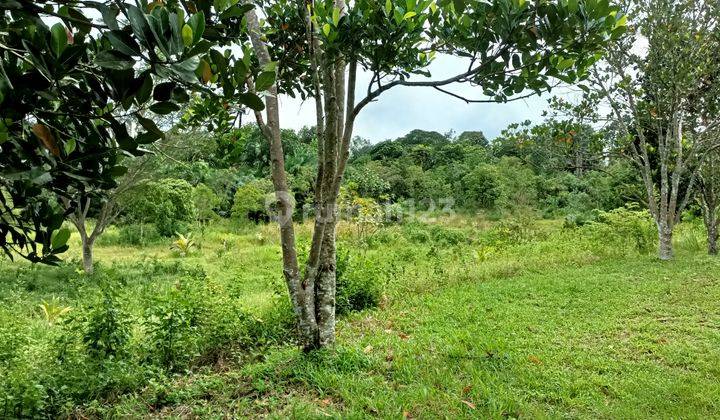 Daerah Silkar 7