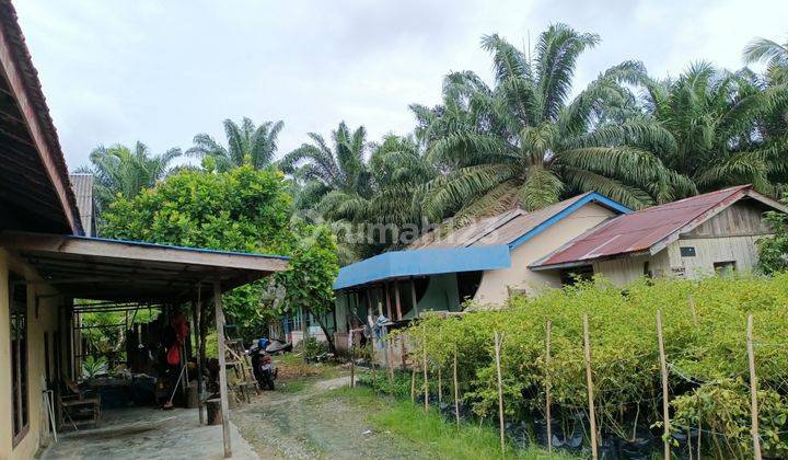 Tanah di Nenang Panajam Paser Utara 4