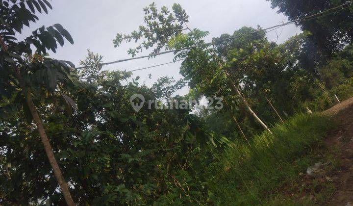Di Jual Tanah Di Samarinda Jalan Perjuangan.Luas Tanah 18.000M2.Lebar  100 dan Panjang 180.Harga 1,Jt Per Meter. 4