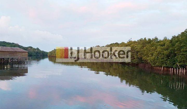 Dijual Lahan Luas Peruntukan Pariwisata Di Sebong Lagoi Bintan 7