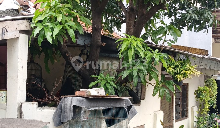 Dijual Rumah Hook Hitung Tanah Di Tomang Rawa Kepa Jakarta Barat Dijual Rumah Hook Hitung Tanah Di Tomang Rawa Kepa Jakarta Barat