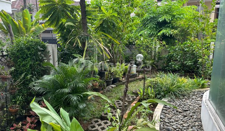 Dijual Rumah Luas Hunian Nyaman Wilayah Bintaro  1