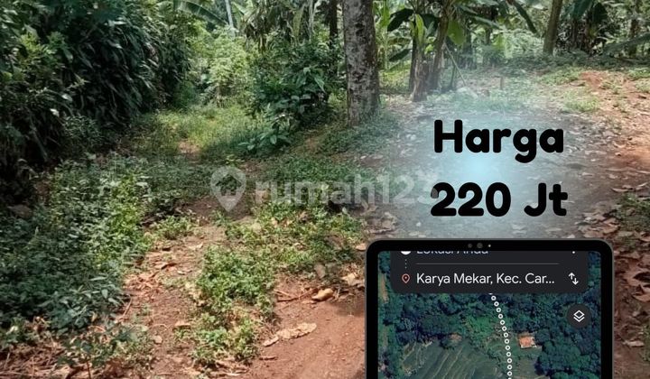 Dijual tanah kebun di KaryaMekar Cariu Bogor Jawa Barat
