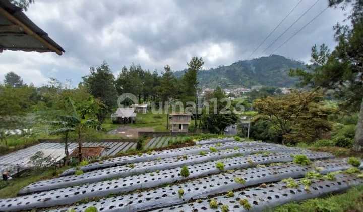 Dijual Tanah pinggir Jalan dekat ke Tangkuban Perahu Bandung Dijual Tanah pinggir Jalan dekat ke Tangkuban Perahu Bandung