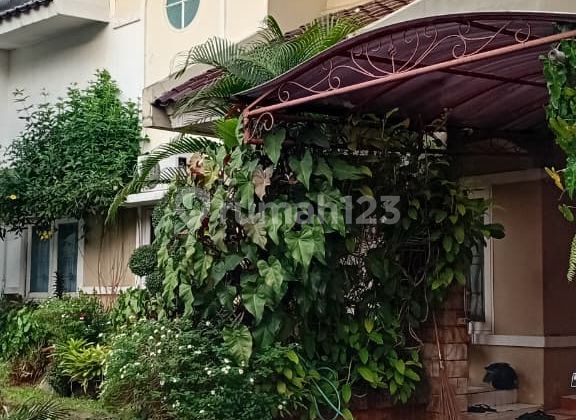 Rumah Dijual Bintaro Sektor 9 Siap Huni Harga Nego 2