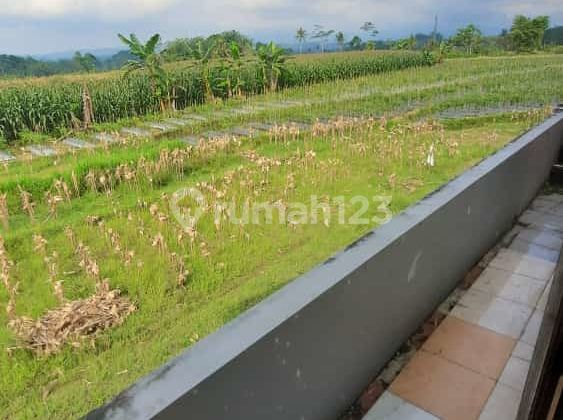 Rumah siap huni dalam komplek Candi Asri Maron Temanggung 6
